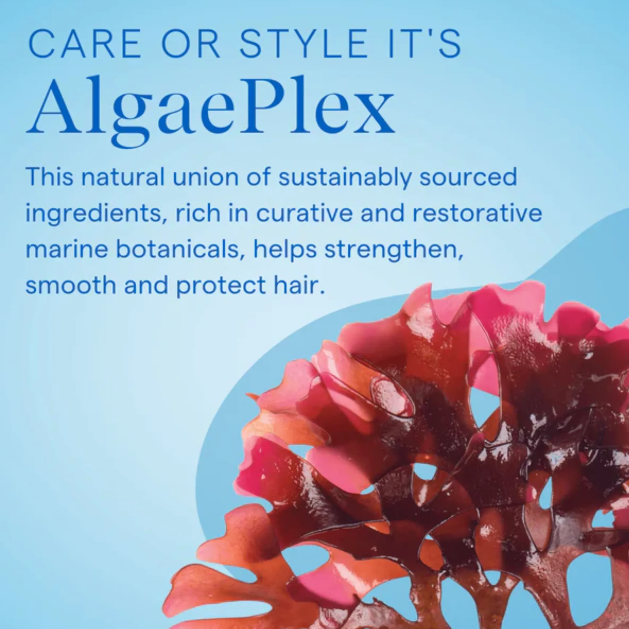 AQUAGE Dry Shampoo